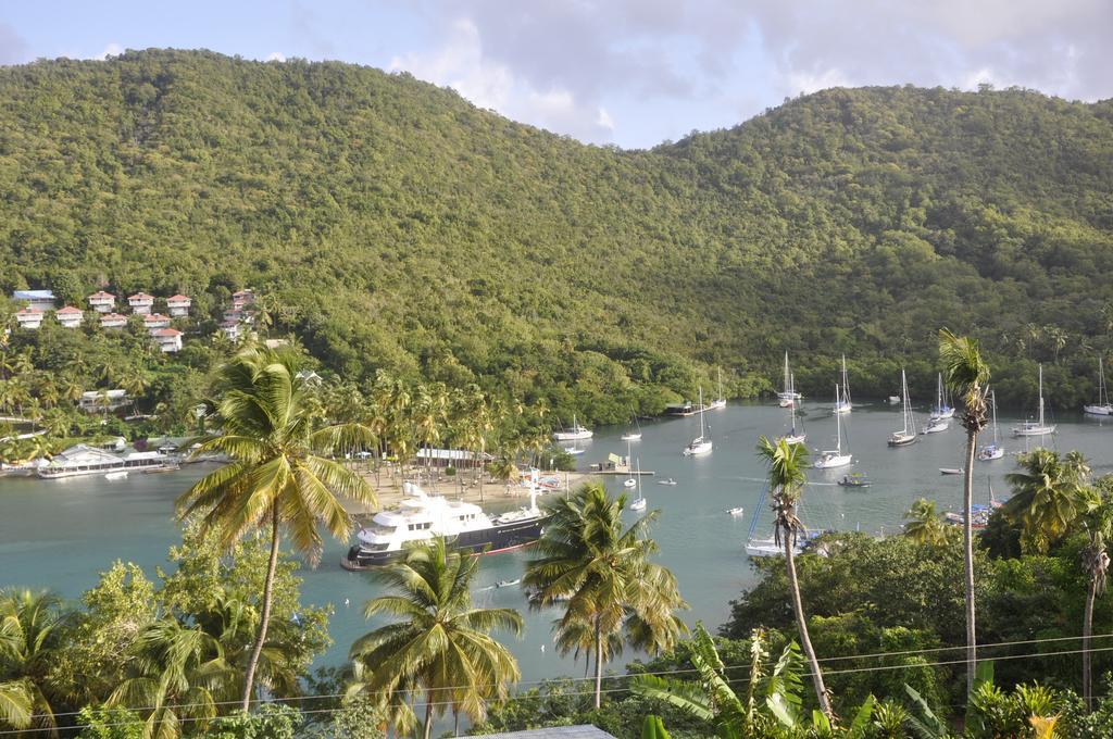 Marigot Palms Luxury Caribbean Apartment Suites Exteriér fotografie